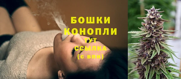 индика Михайловск