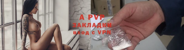 СК Алексеевка