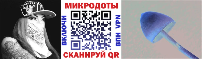 Галлюциногенные грибы Magic Shrooms  купить   Чулым 